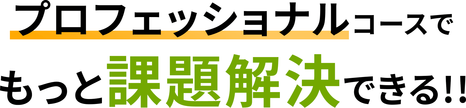 プロフェッショナルコースでもっと課題解決できる!!